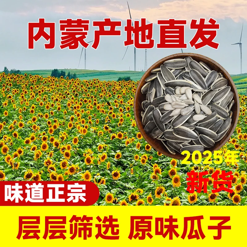 【2025年中号新货生瓜子】内蒙古精选优质颗粒生瓜子坚果产地直发