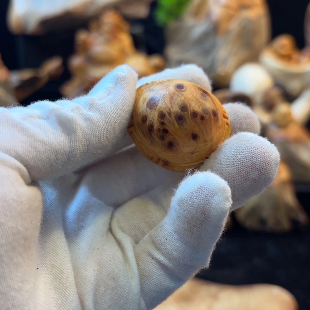 马***柒柏木1111111111111