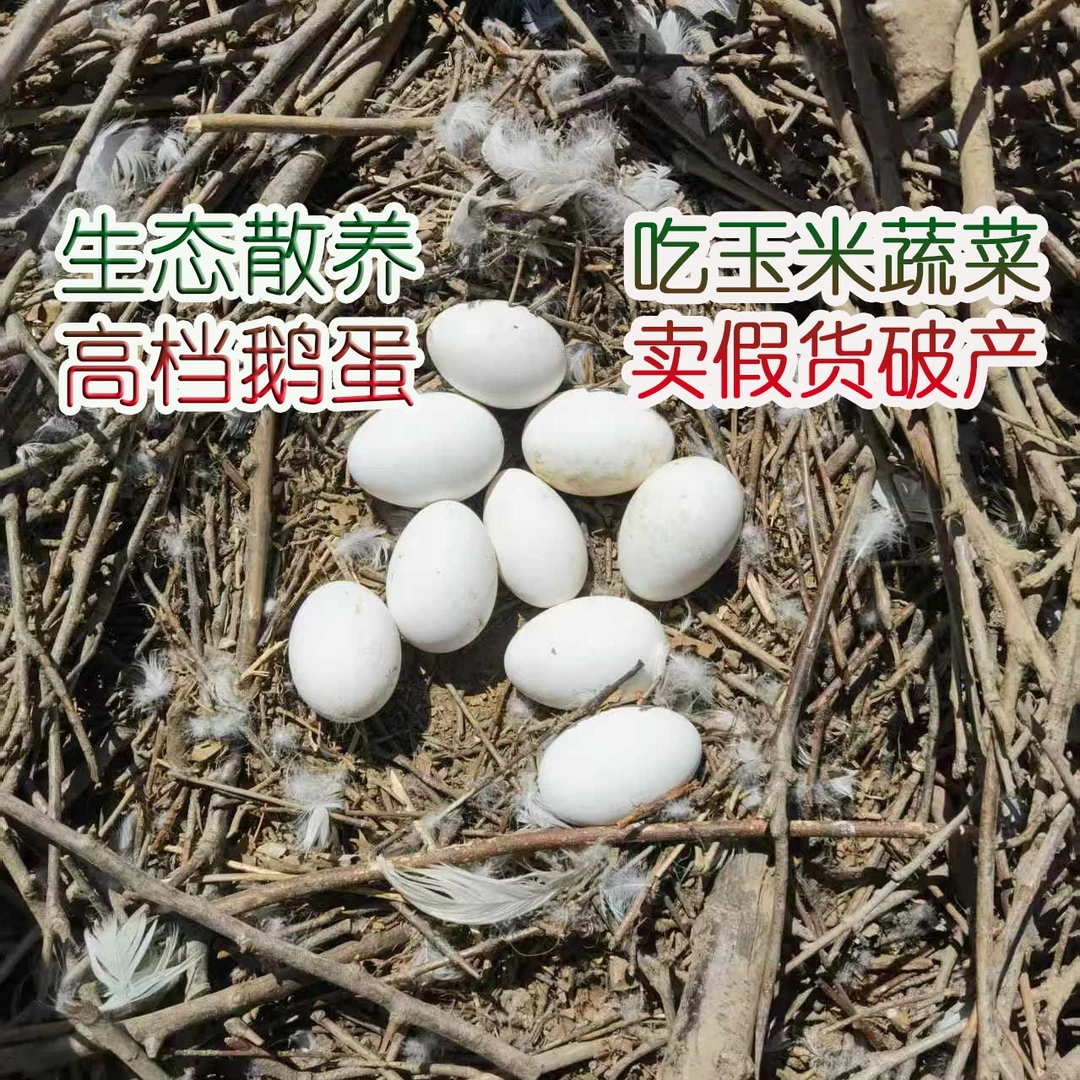 新鲜散养土鹅蛋12枚单个135克以上（12枚净重大于等于1600克）