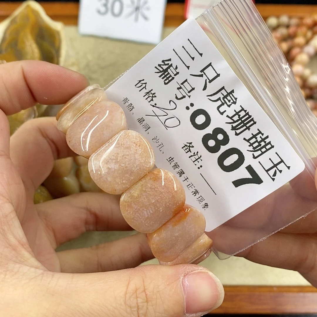 硅化珊瑚（珊瑚玉）1未镶嵌蔷*