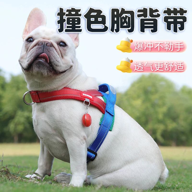 【宠大条】狗狗牵引绳宠物胸背带加宽织带撞色拼接不勒狗户外遛狗绳