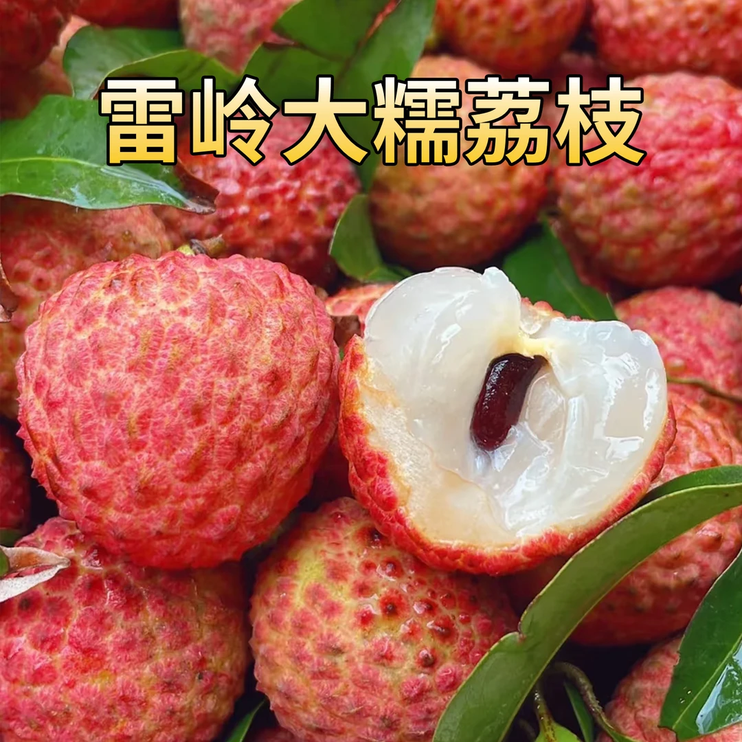 广东正宗糯米糍荔枝新鲜现摘现发自家老树鲜果整箱送礼冷链快递