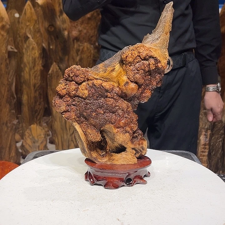 松木（琥珀木）泽*子