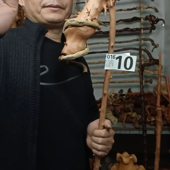 茶***味香榧木高山 檬子木文玩料