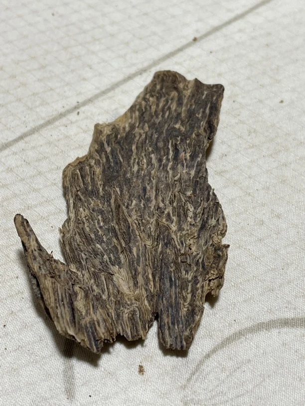 沉香斑纹皮油3.1克，天然野菌群产生，清香凉，头香微辣，低温发香。