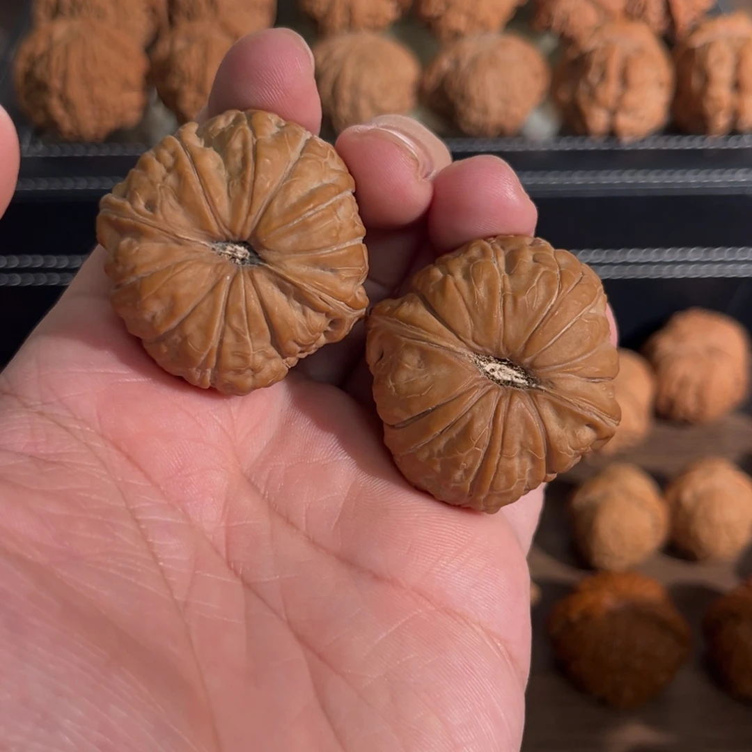 手串/手链核桃边肚40全品南瓜