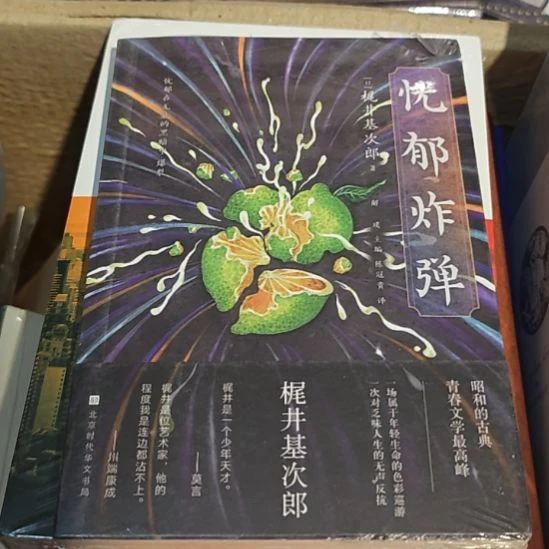 忧郁炸弹平装库存书