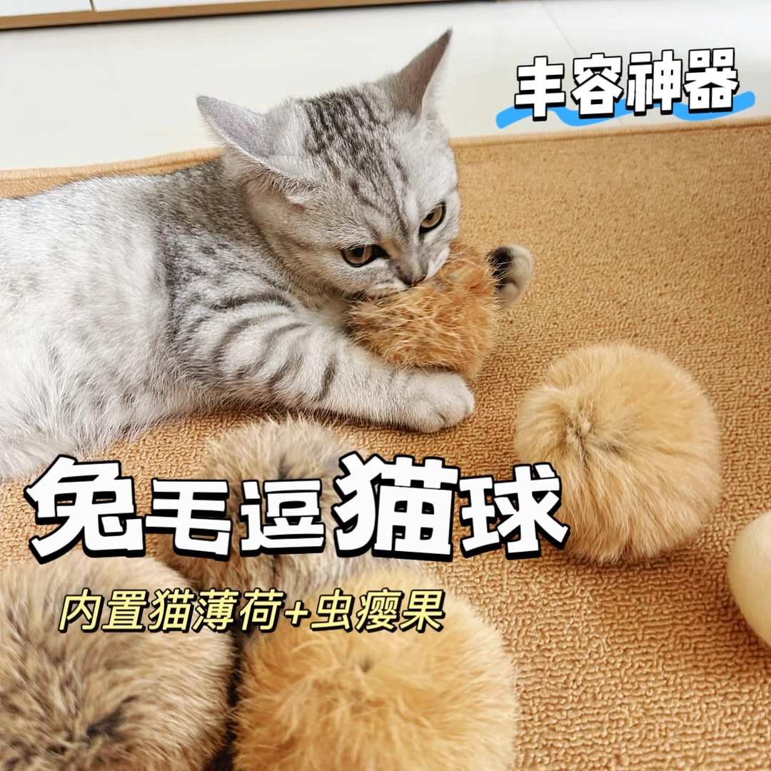 真兔毛球猫咪玩具猫薄荷虫瘿果宠物自嗨解闷耐抓耐咬大尺寸逗猫球