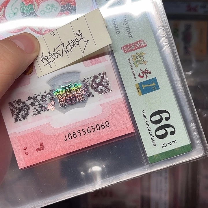 塑料金马王啊啊啊啊啊啊啊啊啊