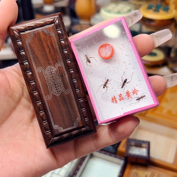 哈哈哈哈哈哈哈哈哥哥