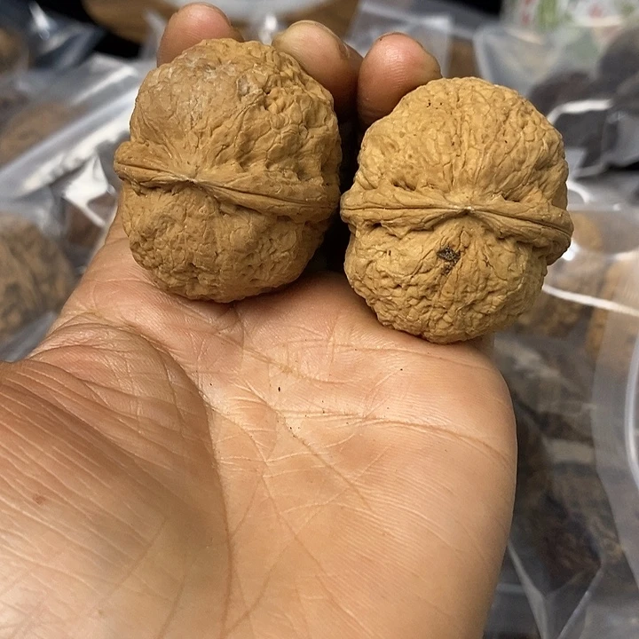 核桃云南铁核桃基地67