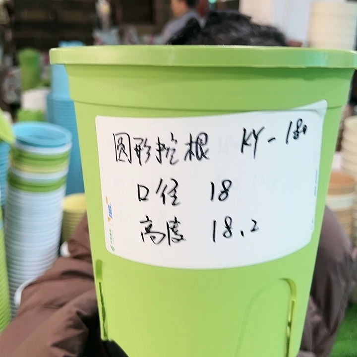 正品圆控口18高18果绿无托8只
