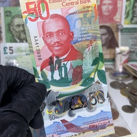 纸币东加勒比塑料钞一张