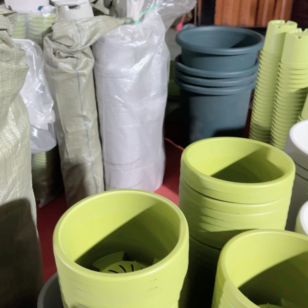 树脂李*平特价4#带军绿拖5套