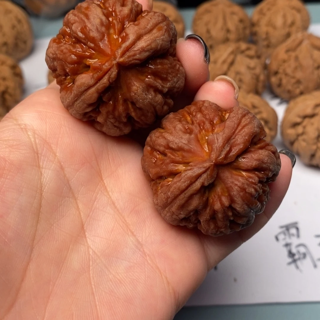 文玩核桃吊坠一**园霸王龙40