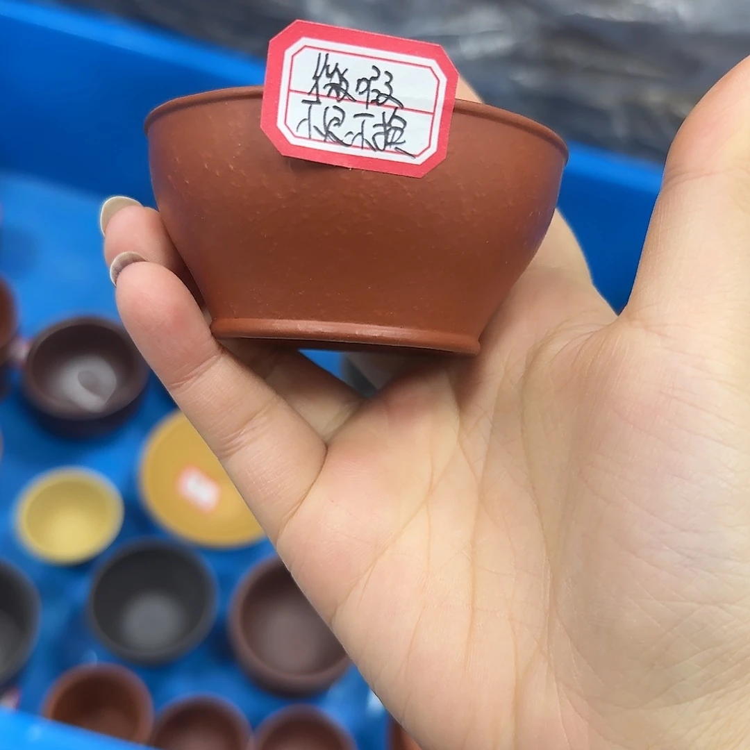 紫砂茶壶黄龙山大红袍100
