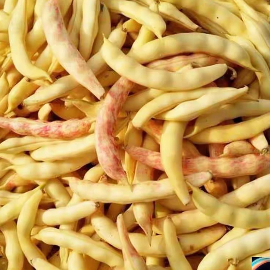 东北黄豆角(到货第一时间取件 延迟取件坏了由买家承担)