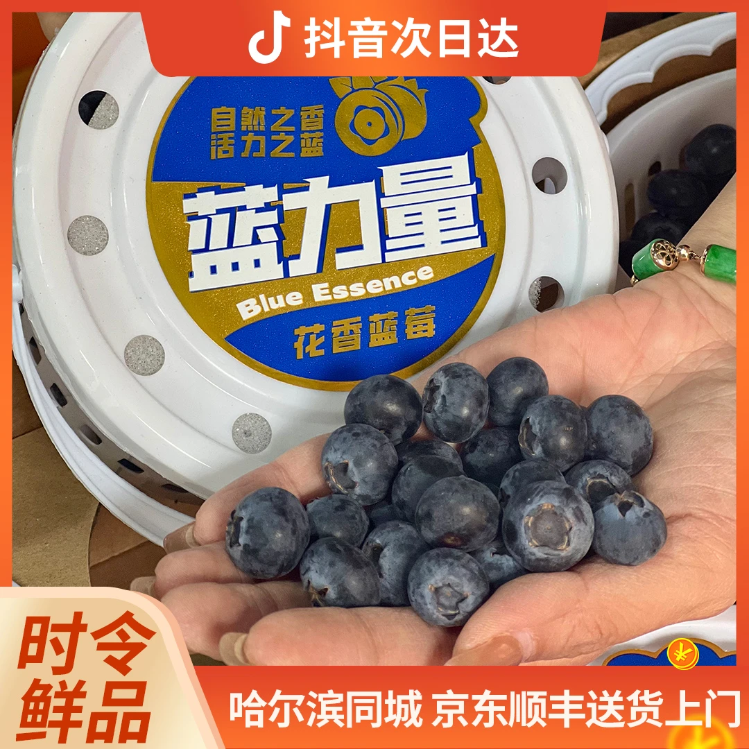 枝冠花香蓝莓15mm+ 500克/桶 2桶装云南省