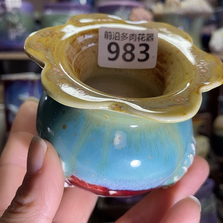 狼盆内口径5高度6