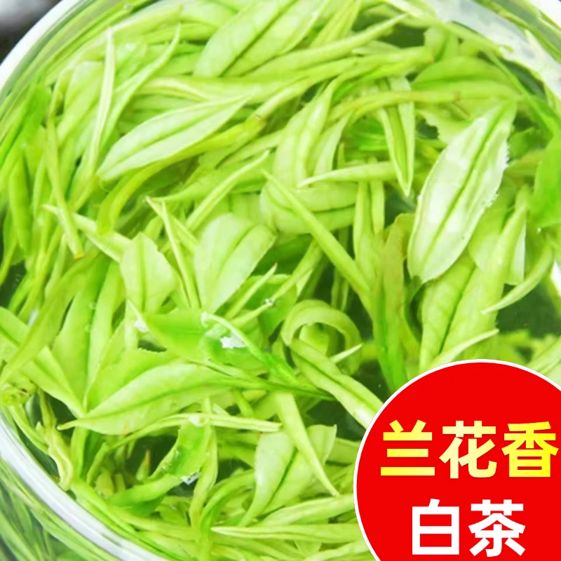 原产地白茶特白高山茶今年新茶2025年新茶