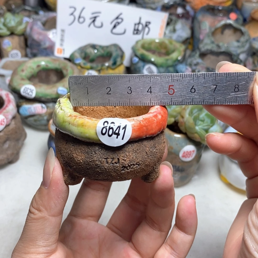 拍3送一个小礼物