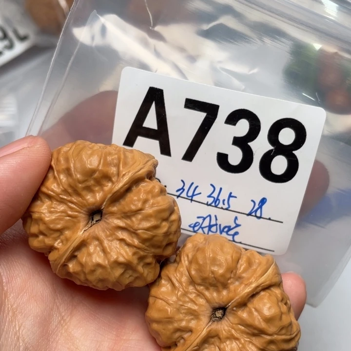 文玩核桃把件球蛙34 36.5 28