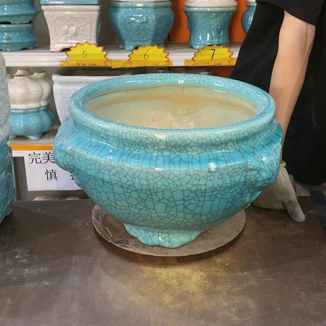 橙**生微瑕花盆花盆里的花