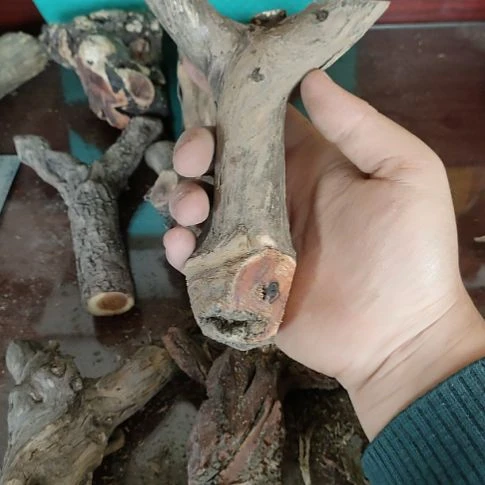 用***9核桃木/黑胡桃（胡桃木）