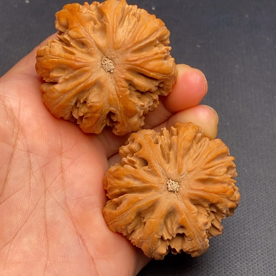 桃核把件秦岭野生核桃