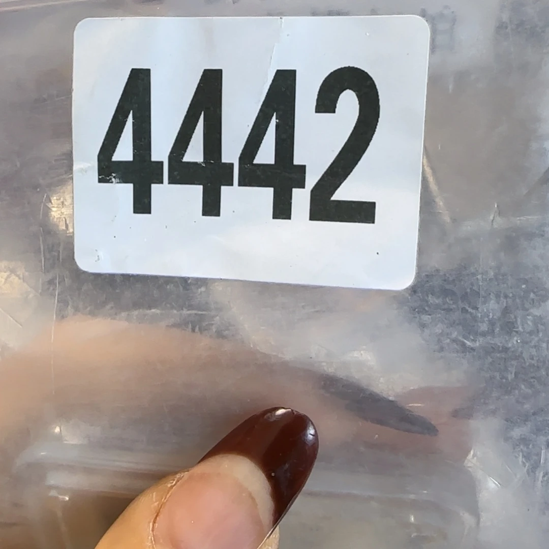 新号开播福利多多