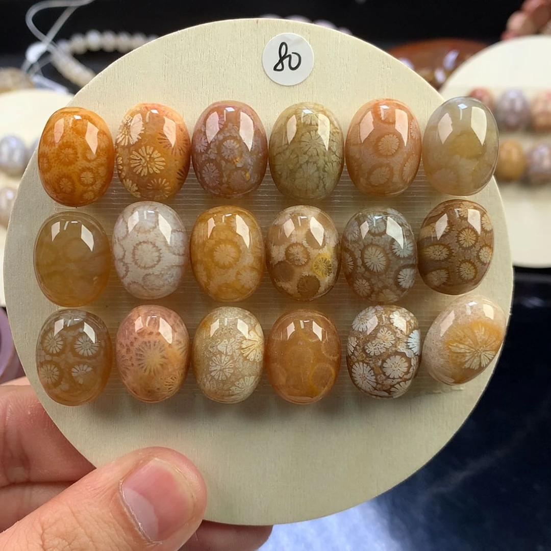 【闪购商品】硅化珊瑚（珊瑚玉）未镶嵌颈饰60号龟背单价80一颗