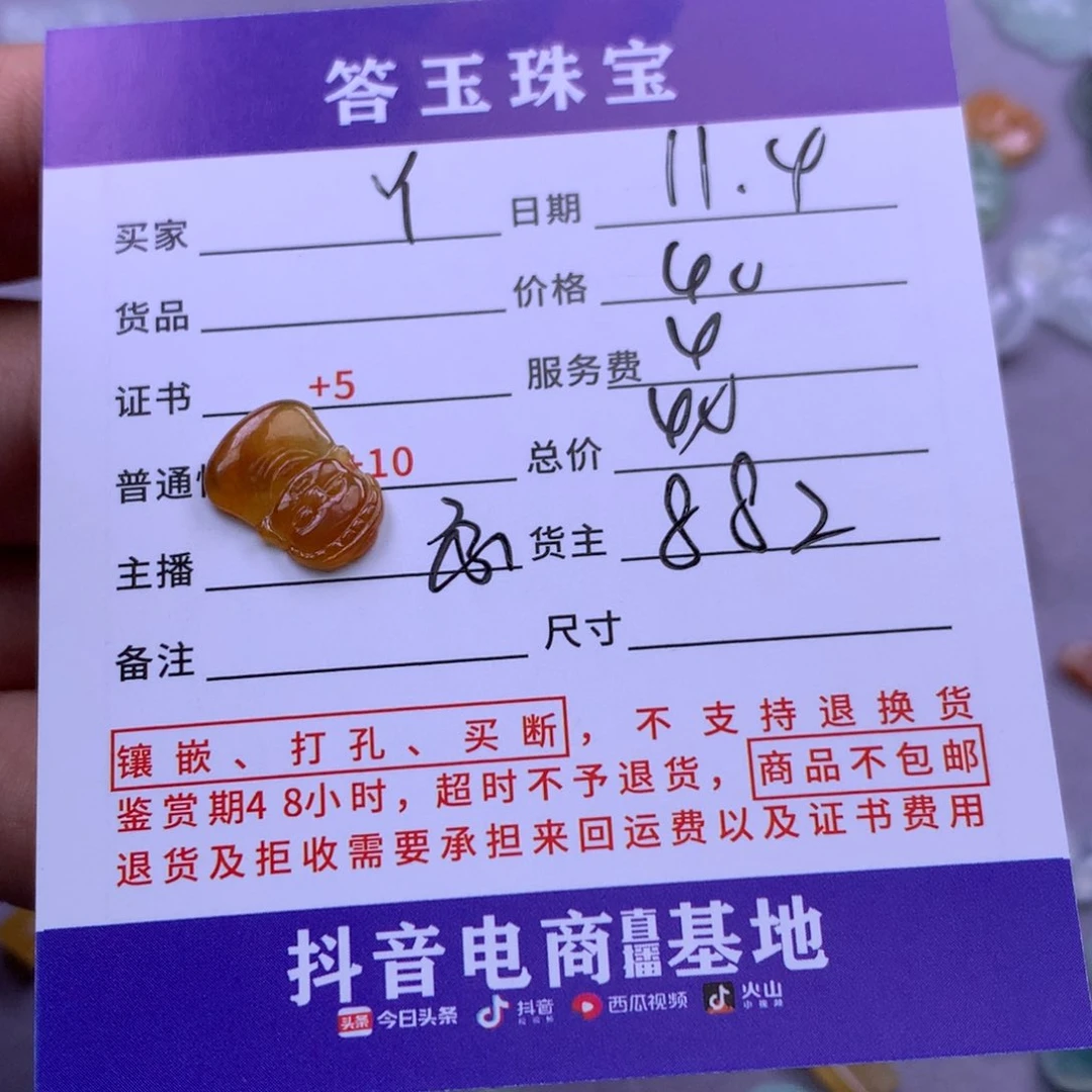 颈饰未镶嵌翡翠y*环