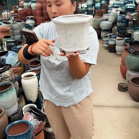 瑕疵一个盆子。