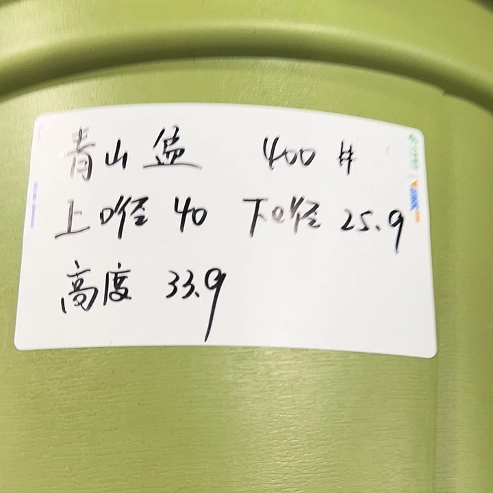 青山口40高34果绿色5个无托