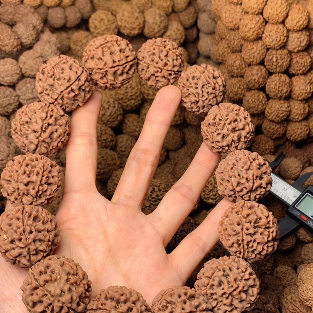 木7瓣爆肉卡29尺寸，67号