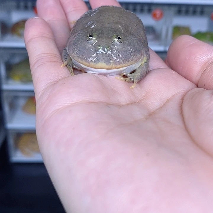 特价秒杀现货特价
