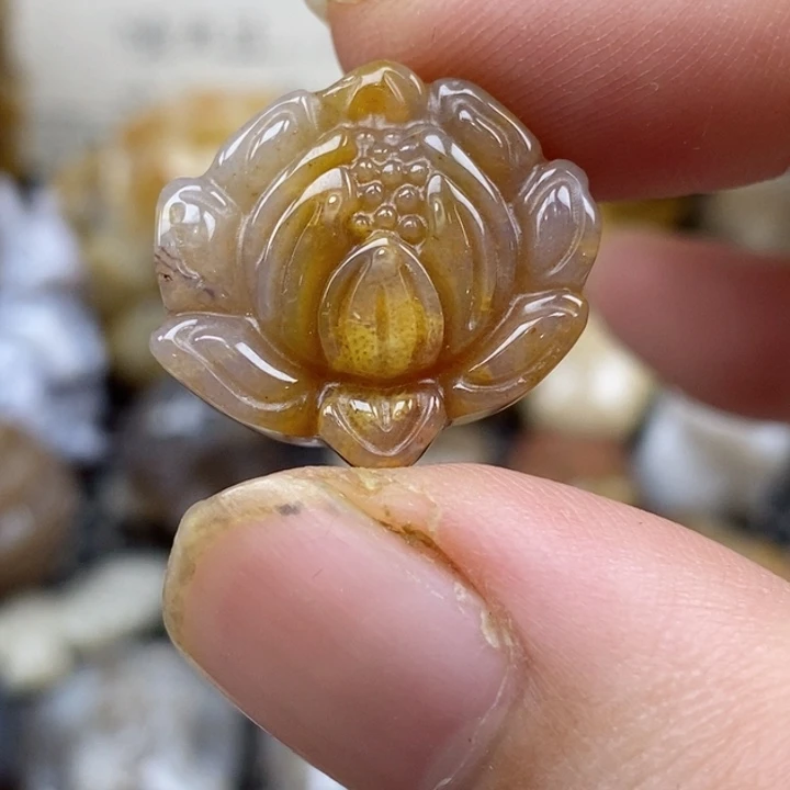 颈饰未镶嵌硅化珊瑚（珊瑚玉）小