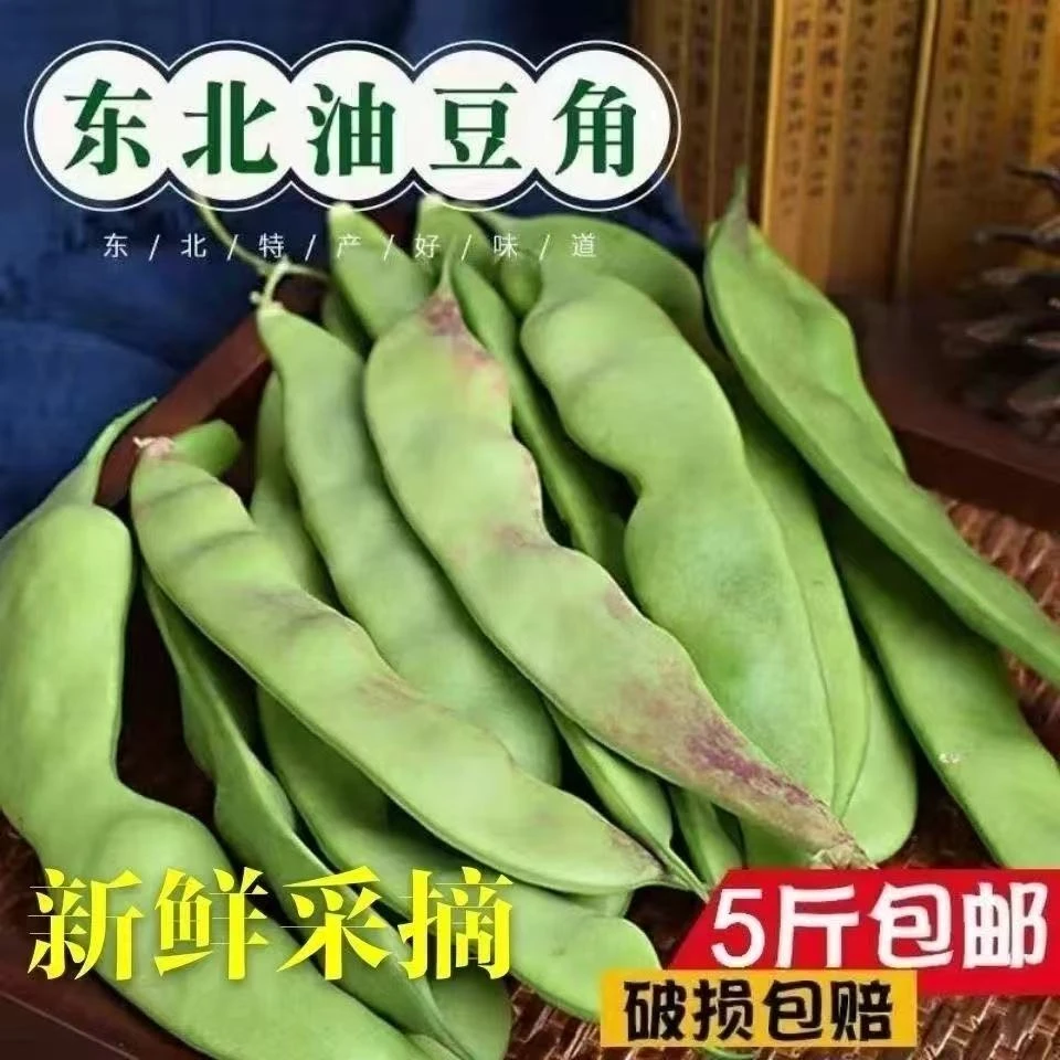 东北油豆角现摘现发开过熟新鲜包邮