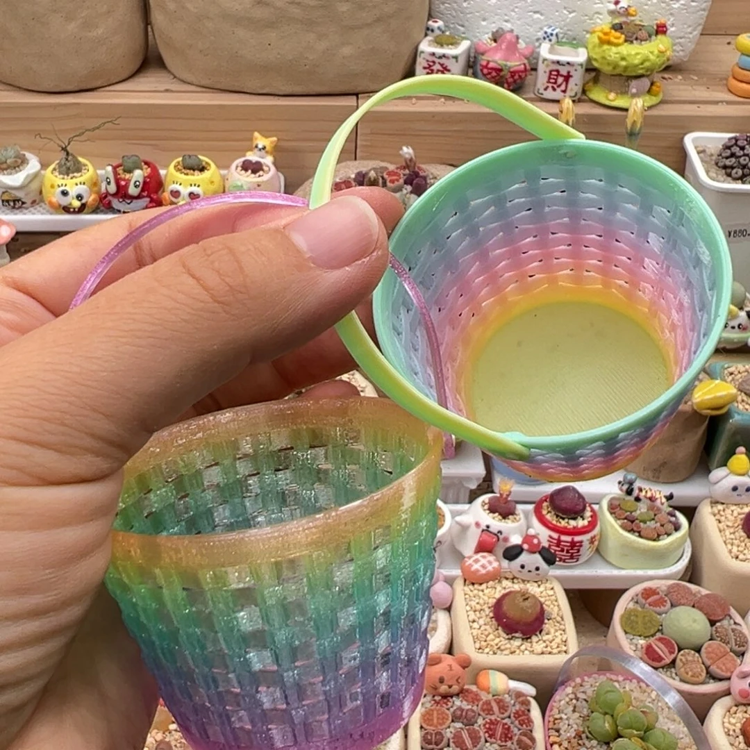 多肉植物127号两个盆