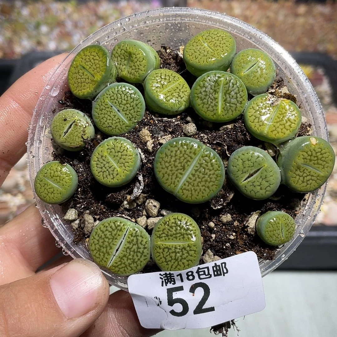 当天凑满十八元包邮52
