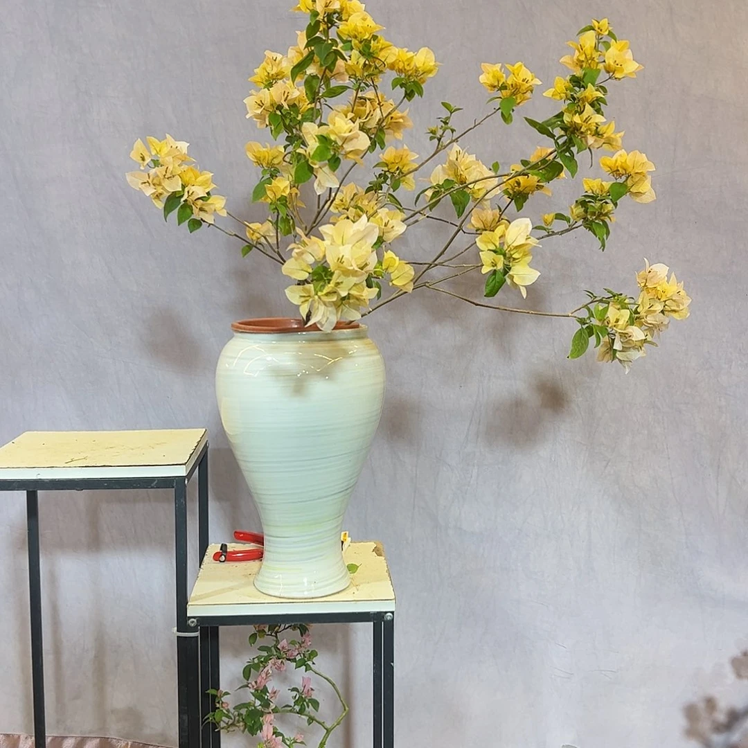 大量花朵（建议范围：8朵-15朵 或40%以上）苏瓦娜