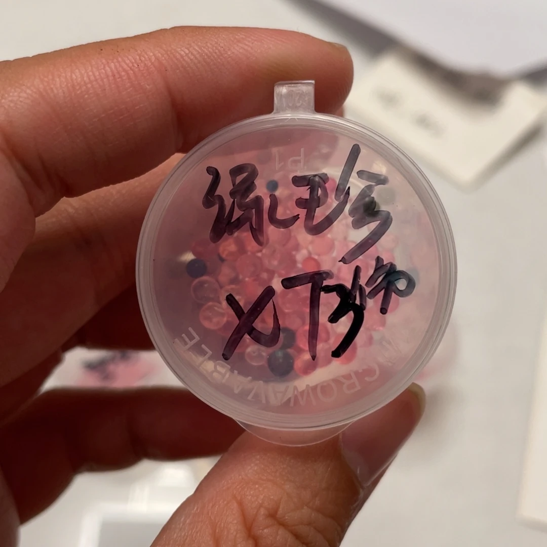 绿体珍妮✖️雪兔20粒，新品