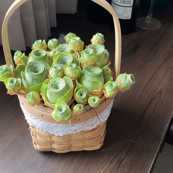 小玉玫瑰群7个带花篮