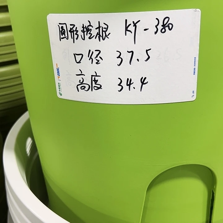 正品圆控口38高34果绿3只无托