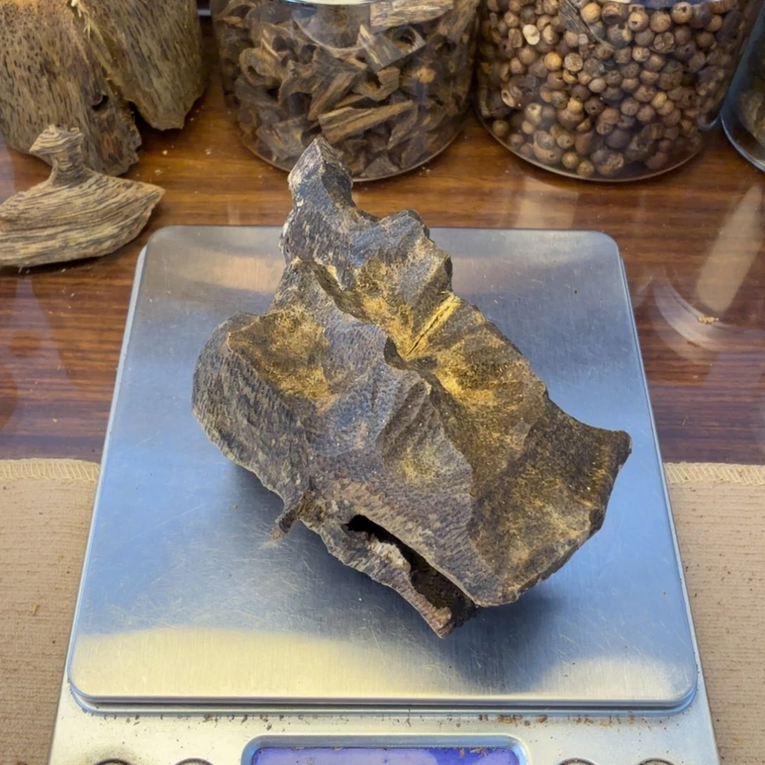 沉香沉香碎屑透顶绿锯口料34g