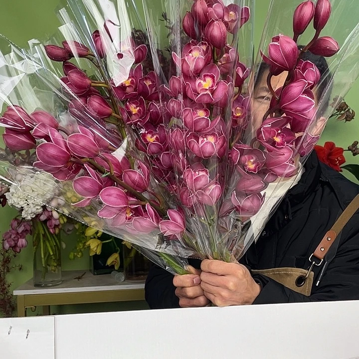 完全开放A级绣球3支