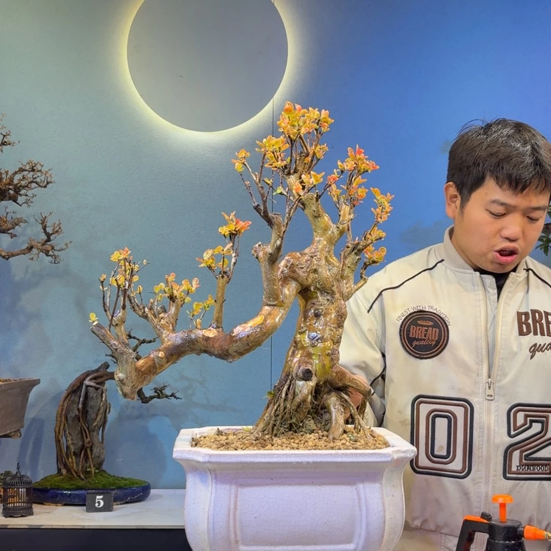 .***麦无花朵红花紫薇一物一拍