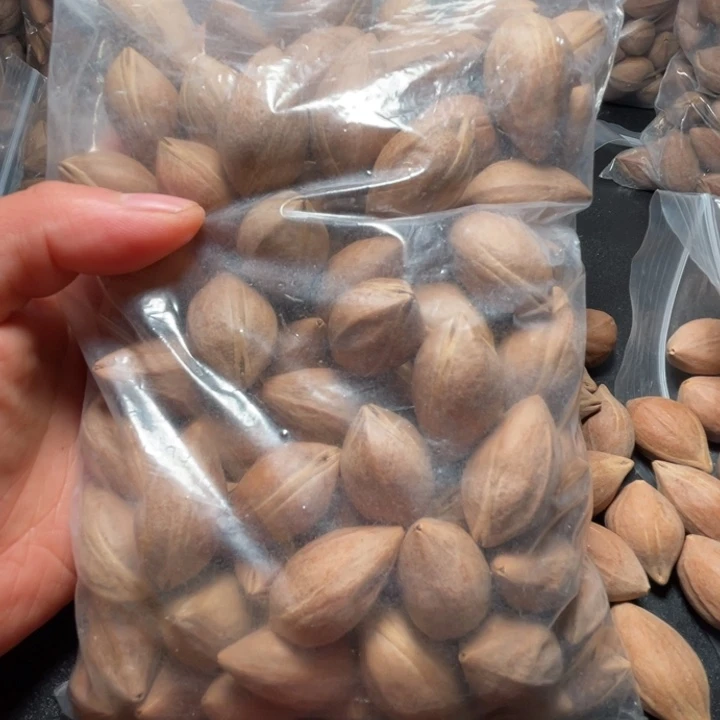 猪牙手串/手链我是