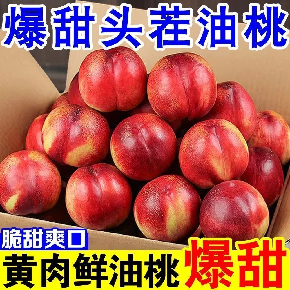 【脆甜爆汁】正宗头茬黄肉油桃新鲜当季桃子现摘现发