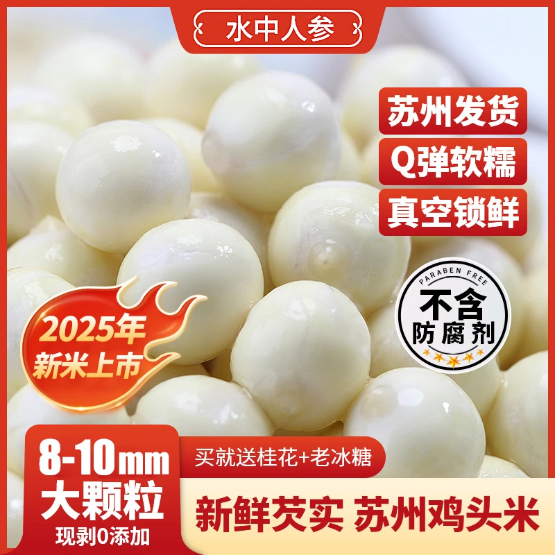 【大颗粒】2025年正宗苏州新鲜鸡头米芡实 当季采摘 大果产地直发